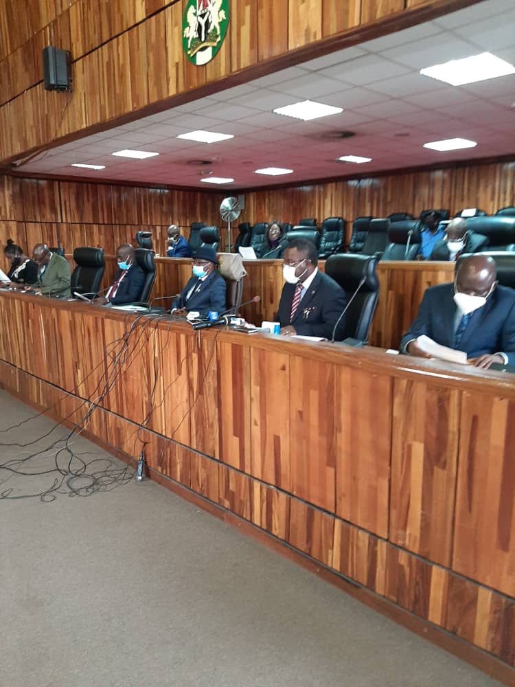 Independent Investigative Panel on Human Rights Violations by Defunct SARS and Nigerian Police